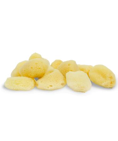 Neptune Natural Sea Soft Silk Sponge - for Cosmetic Use, Art, Facial Cleansing 12pk, 1-1.5 inches 1-1.5 Inch (Pack of 12)