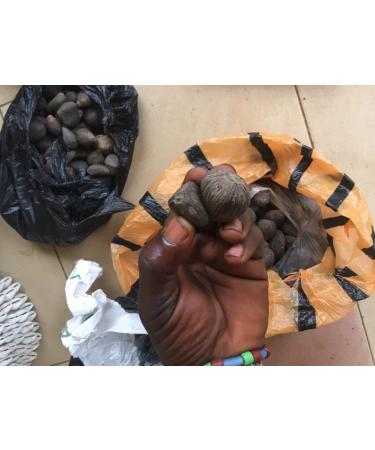 Buy Ikines Hand for OSHA Ifa Santeria - Authentic Ritual Supplies | Worldwide Shipping - Buy Online on GoSupps.com