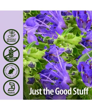 NaturaAnswer's Law Herbal Hyssop Supplement 30ml - Buy Online on GoSupps.com