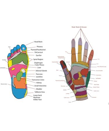 Traditional Wooden Massager - Acupressure Tool for Reflexology & Pain Relief | Shop Internationally - Buy Online on GoSupps.com