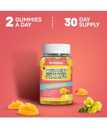 2 Pack Mullein Gummies 3000MG Sugar Free Mullein Gummies with Bromelain & Quercetin Mullein Leaf Extract Supplements for Lungs Vegan 120 Count 60 Count (Pack of 2) - Buy Online on GoSupps.com