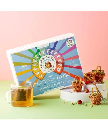 Les 2 Marmottes - Grand Coffret R coltes du Terrier 90 Sachets - 12 Infusions 3 Th s - Id al En Cadeau - Bien- tre Et Relaxation - Made In France - Sans ar mes ajout s - 134g R coltes du Terrier - 90 Sachets - Buy Online on GoSupps.com