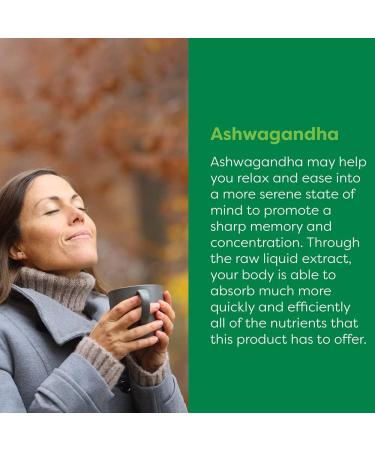 Global Healing Organic Ashwagandha Supplement Drops - Liquid KSM 66 Ashwagandha - Stress Relief for Men & Women - 2 Fl Oz - Buy Online on GoSupps.com