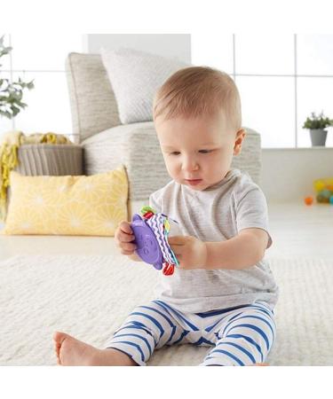 Fisher-Price Monkey Teething Pal - Soothing Teether for Babies - Buy Online on GoSupps.com