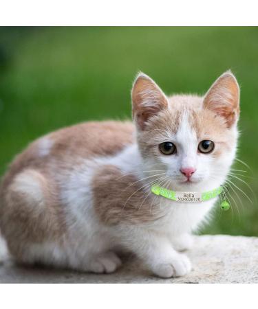 Senristar Personalized Reflective Cat Collar 2-Pack | Custom Breakaway Collars with Name Tag & Bell | Anti-Loss Design for Cats (20-28 cm) - YG Green - Buy Online on GoSupps.com