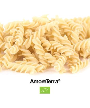  AMORETERRA Amoreterra Senator Hats Organic Propeller Pasta 500g Ancient Grains Organic Craft Bronze Extruded Low Temperature Dried - Buy Online on GoSupps.com