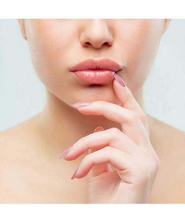 Holocuren Miracle Lips Salve - 0.33 oz | Hydrating Lip Balm for Dry & Chapped Lips - Buy Online on GoSupps.com