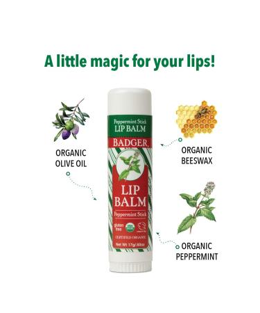 Badger Company Peppermint Lip Balm 0.60 oz - Natural Moisturizer & Soothing Relief - Buy Online on GoSupps.com