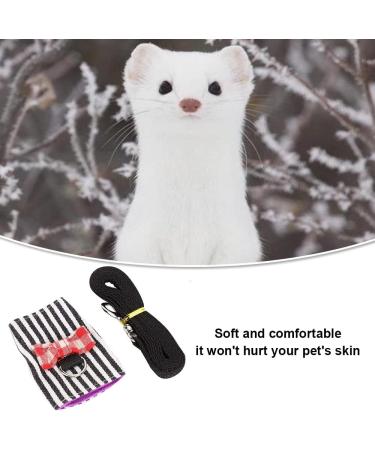 Small Animal Harness Velcro Hamster Harness and Leash Set for Walking Small Animal Chest Straps for Bunny Rabbits Ferret Guinea Pig Chinchilla Puppy Kitten Harness(S) - Buy Online on GoSupps.com