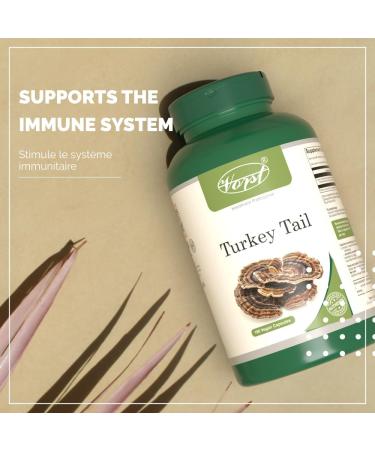VORST Turkey Tail Mushroom Supplement 1200mg Per Serving 180 Vegan Capsules | Powder Pills | 1 Bottle 180 count (Pack of 1) - Buy Online on GoSupps.com