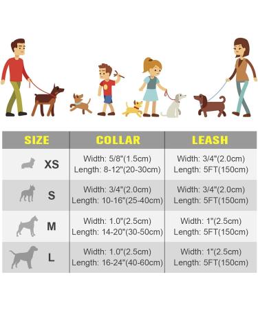Shop Tagme Orange Dog Collar & Leash Set - Personalized Reflective 1.5m for Medium Dogs - Buy Online on GoSupps.com