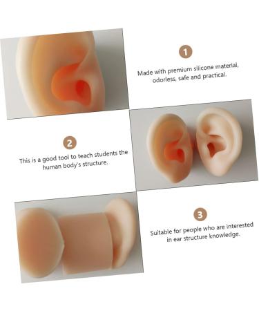Tofficu 1 Pair Silicone Ear Picking Practice Tunnels | Simulated Auditory Meatus Model for Ear Display | Artificial Display Ear Mold - Silica Gel - Buy Online on GoSupps.com