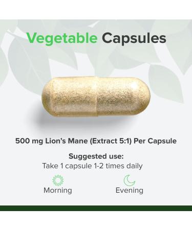Lions Mane 500mg - Vegan Brain & Concentration Supplement - Hericium Erinaceus Capsules for Nervous System & Heart Health - RAW POWDERS - 90 Capsules - Buy Online on GoSupps.com