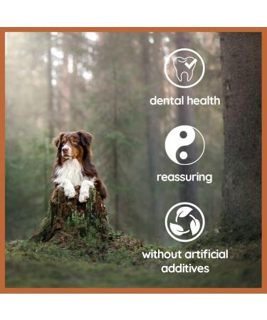 Wildfang Olive Wood Chewing Root for Dogs - Dental Care Chew Toy for Puppies up to 15kg - 3 Pack Size S - Buy Online on GoSupps.com