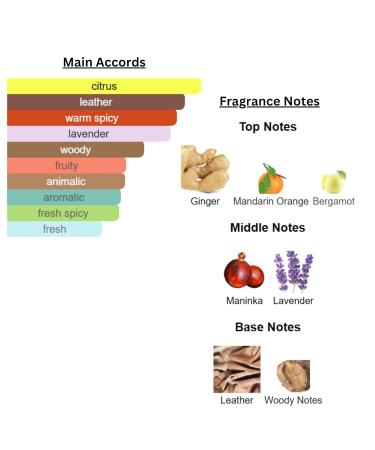 NKR Fragrance - Perfume and Cologne Oil for Women and Men - Designer Type - Our Version Of (H Boss - him) Hugo Boss Boss - Buy Online on GoSupps.com