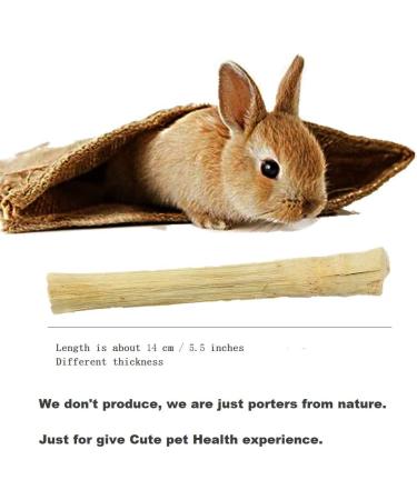 Natural Sweet Bamboo Rabbit Chew Toys & Treats for Healthy Teeth & Gums Ideal for Rabbits, Hamsters, Chinchillas, Guinea Pigs, Squirrels 5.29 oz (1 Pack) - Buy Online on GoSupps.com