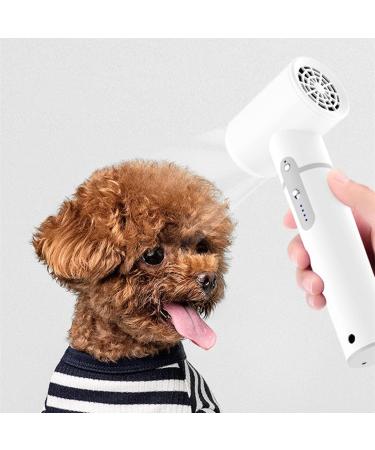 Travel Hair Dryer Portable Cordless Hair Dryer Cold/Warm/Hot Air Detachable Portable Wireless Hair Dryer for Women