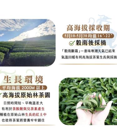 Taiwan unique tea Qilai Huagang Fu Shoushan and Dayuling Oolong Tea 150g*4 - Buy Online on GoSupps.com