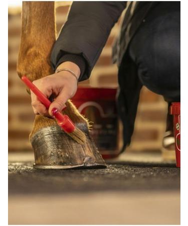  Kevin Bacon's Kevin Bacon Blond Ointment 5 l - Buy Online on GoSupps.com