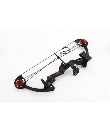 PANDARUS Compound Bow Archery Set for Youth and Beginners - 19-28 Draw Length, 15-29 lbs Draw Weight, 260 fps - Right Handed - Includes Hunting Equipment - Buy Online on GoSupps.com