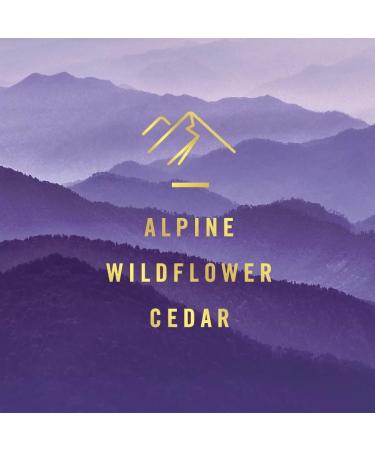 Febreze Odor-Fighting Fade Defy Plug Air Freshener - Mountain Scent - 2 Refills (0.87 fl oz Each) - International Shipping Available - Buy Online on GoSupps.com