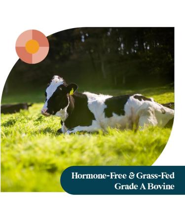 Pattern Wellness Collagen Peptides Powder (Type I & III) - Hair, Nails, Skin & Joint Support - Grass Fed & Pasture-Raised - Hydrolyzed, Non-GMO, Dairy Free, & Keto-Friendly - Unflavored (16 Oz) - Buy Online on GoSupps.com