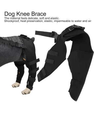 Adjustable Pet Knee Pads Pet Dog Hind Legs Protector Dog Hind Legs Protector for Recovering Injured or Diseased Legs for Dogs(M-Black)(L) - Buy Online on GoSupps.com