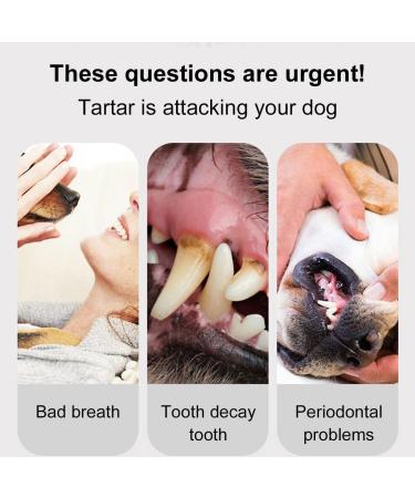 Premium Dental Care for Dogs - Toothbrush Toothpaste & Tartar Remover Kit - Buy Online on GoSupps.com