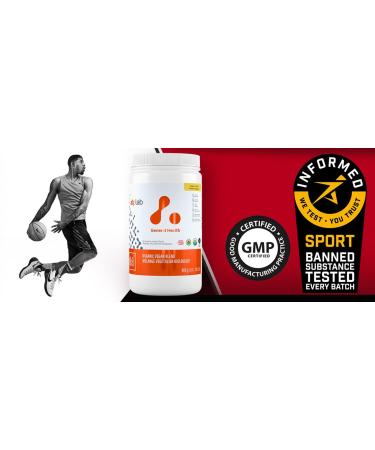 ATP LAB Vegan Blend Powder, 900g 30-Servings - Vanilla Flavour, Gluten-Free and Non-GMO - A Complex of Plant-Based Proteins and Mixture of Enzymes - Buy Online on GoSupps.com