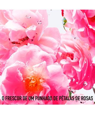 Christian Dior Miss Dior Rose NRoses Women EDT Spray 3.4 oz 3.4 Fl Oz (Pack of 1) - Buy Online on GoSupps.com