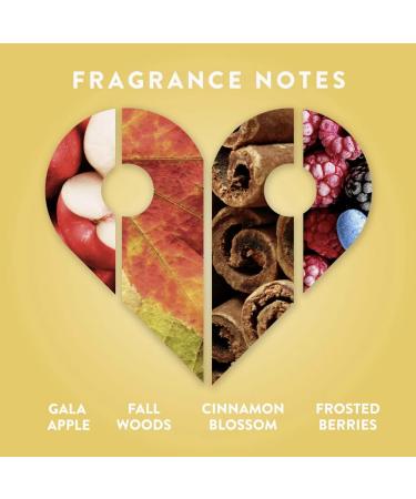 Find Your Happy Place Autumn Apple Picking Liquid Hand Wash Apple and Frosted Berry 9.5 fl. oz. - Buy Online on GoSupps.com