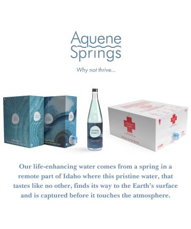 Aquene Springs Silica Source Water, Pure, Silica-Rich Geothermal Water for Daily Hydration, Naturally Filtered, Deuterium Depleted, pH 8., Promotes Cardiovascular Health, Pain Relief, and Anti-Aging Water 169.07 Fl Oz (Pack  - Buy Online on GoSupps.com