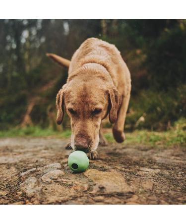 BecoThings Large Green Dog Toy Ball - Eco-Friendly Durable & Fun for Dogs | International Shipping Available - Buy Online on GoSupps.com