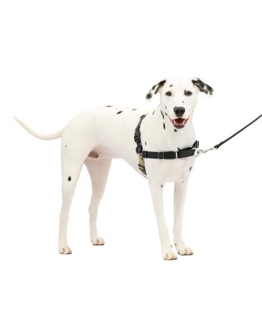 PetSafe Easy Walk Dog Harness - No Pull Dog Harness Black/Silver Medium/Large