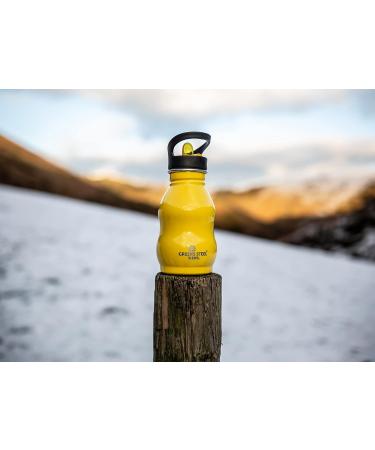 Silver 12 oz Kids Water Bottle with Straw & Handle - Eco Friendly Stainless Steel Cup - Leak Proof Lid - Cute and Easy Sip Design - Buy Online on GoSupps.com