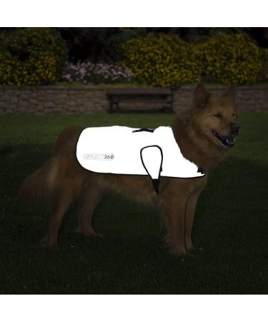 Proviz Sports 100% Reflective High-Vis Waterproof Dog Coat | Best for Safety & Comfort | International Shipping - Buy Online on GoSupps.com