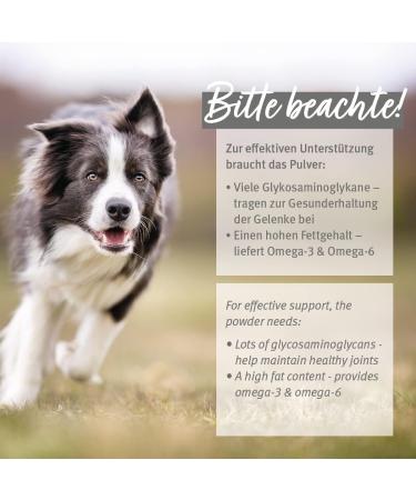 Aniforte Green Lip Powder for Dogs 500g - 2023 Comparison Winner for Joint Health | Natural Full-Fat Formula with High Acceptance - Buy Online on GoSupps.com