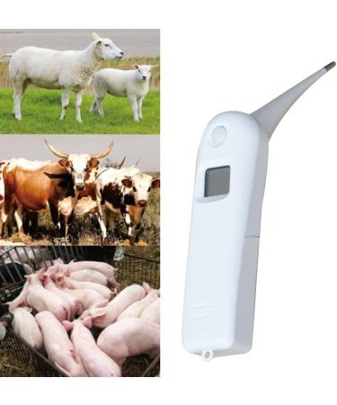 Xuebai Veterinary Thermometer Fast Digital Pet Thermometer for Pigs Cattle Sheep Dogs Horse Including AAA Battery Hanging Rope Veterinary Thermometer Show - Buy Online on GoSupps.com