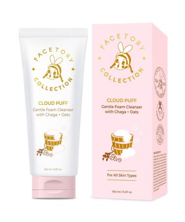 FaceTory Cloud Puff Gentle Foam Cleanser with Chaga and Oats Extract - Everyday Face Wash, For All Skin Types - Moisturizing, Smoothing, Calming, 150 ml / 5.07 oz