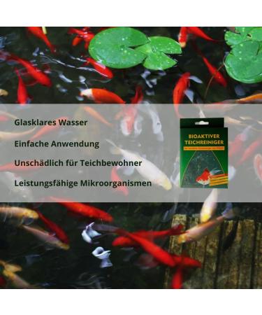 Vitalin Pond Cleaner - Biological Algae Stop & Clear Water - Safe for Fish & Plants - 25g Pack - Buy Online on GoSupps.com