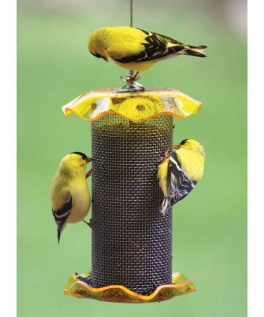 Birds Choice FF116A 1 Quart Yellow Bird Feeder - Premium Quality - Buy Online on GoSupps.com