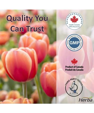 Marine Collagen Powder with Hyaluronic Acid Vitamin C and Silica 305g | Hydrolyzed Collagen Peptides | Type I Marine Collagen Powder for Women & Men | Maintain Healthy Skin Hair and Nail | Herba - Made in Canada - Buy Online on GoSupps.com