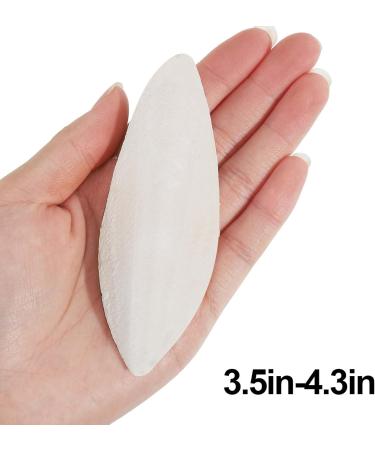 Shop Camp Trip 6-Piece Sepia Bowl Set for Parrots & Reptiles - Durable Chewing Toys with Metal Holders & Ink Fish Bones - 10-12cm - Buy Online on GoSupps.com