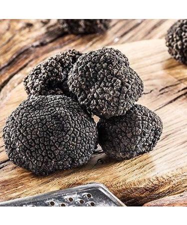 Black Truffle Pesto 150g - Premium Gourmet Ingredient | Buy Online - Buy Online on GoSupps.com