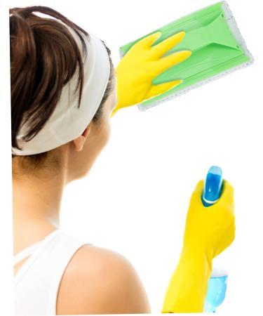 Ipetboom 4 Sets Glass Concave Cleaning Brush Window Screening Spring - Buy Online on GoSupps.com