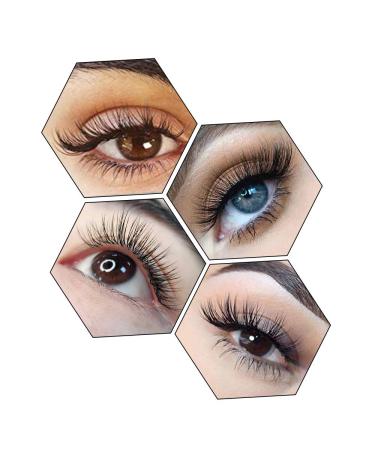 Buy Individual Eyelash Extensions 1:1 - 0.03/0.05/0.07/0.1/0.15/0.20mm | D Curl 16mm Black for Flawless Volume - Buy Online on GoSupps.com