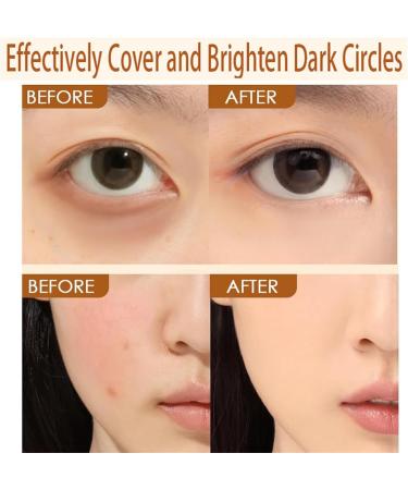 2 in 1 Foundation Anti-Wrinkle Concealer Built-in Brush Foundation Stick Long-Lasting Waterproof Concealer Long-Lasting Foundation on Skin - Buy Online on GoSupps.com