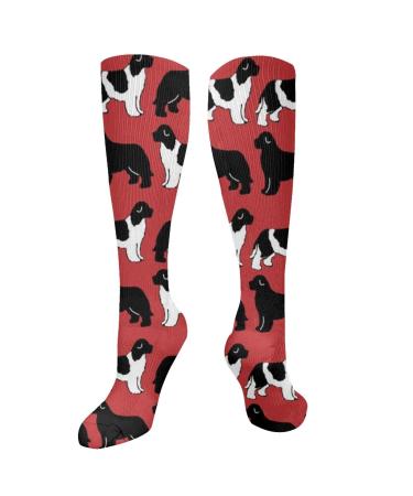 Newfoundland on red compression socks for women and men with a circulation of 15-20 mmHg is the best support for sporty running and cycling