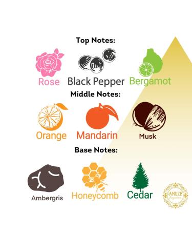 Turkish Rose 6 ml | Premium Perfume Oil | Attar Oil | Alcohol-Free | Vegan & Cruelty-Free | by Amuze Fragrance - Buy Online on GoSupps.com