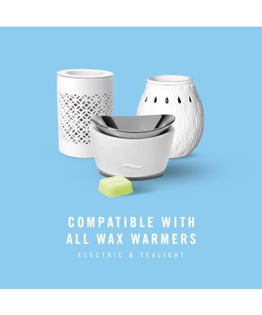 Febreze Gain Original Scent Wax Melts | 6 Packs, 6 Cubes Each | Air Freshener Wax Melt Warmer Cubes - Buy Online on GoSupps.com